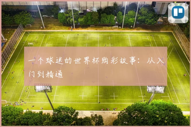一个球迷的世界杯购彩故事：从入门到精通