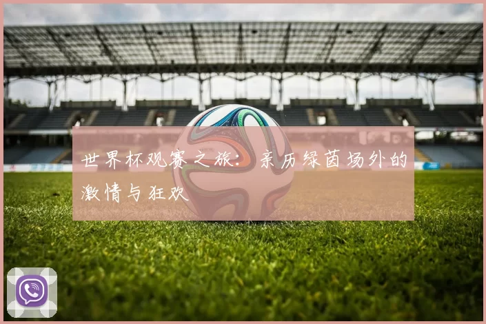 世界杯观赛之旅：亲历绿茵场外的激情与狂欢