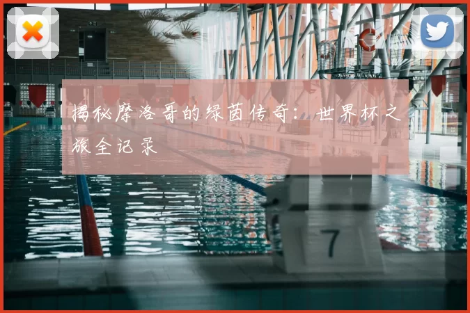 揭秘摩洛哥的绿茵传奇:世界杯之旅全记录