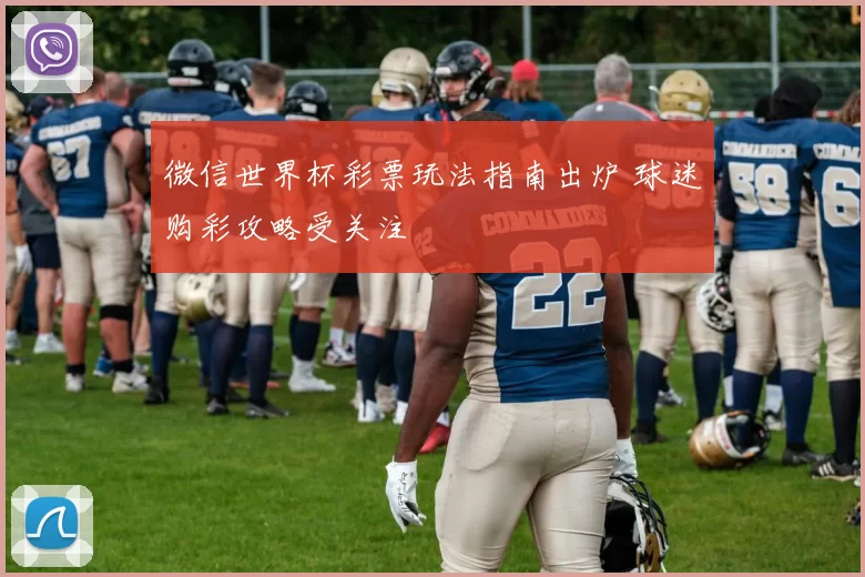 微信世界杯彩票玩法指南出炉 球迷购彩攻略受关注