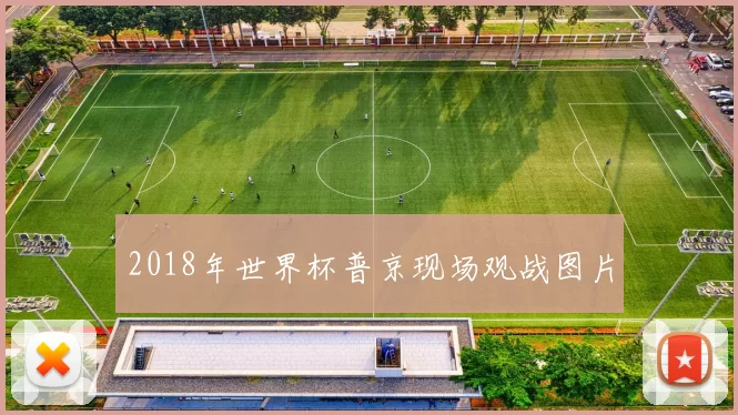 2018年世界杯普京现场观战图片