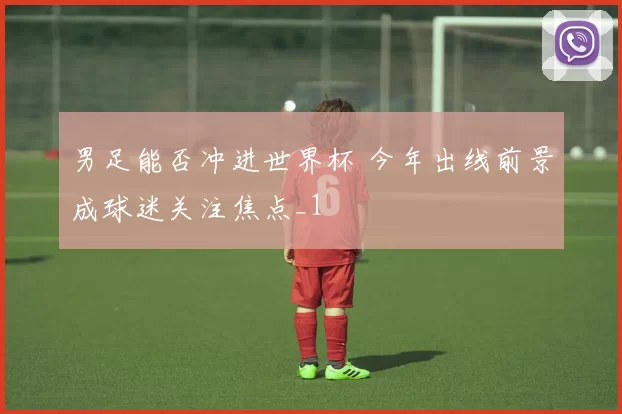 男足能否冲进世界杯 今年出线前景成球迷关注焦点_1