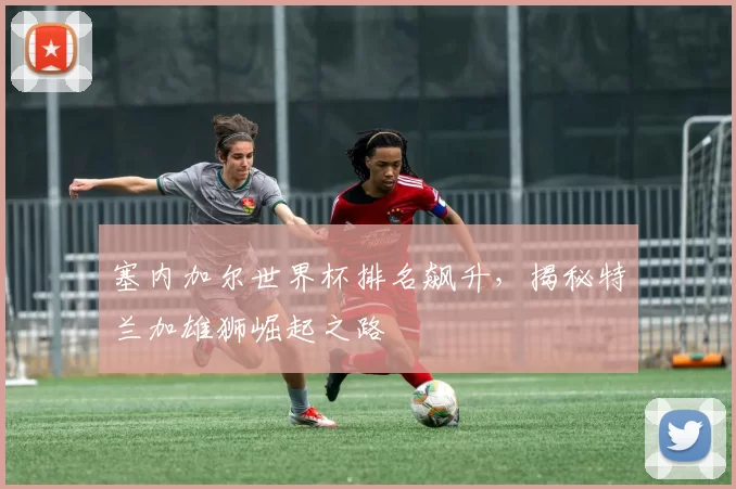 塞内加尔世界杯排名飙升，揭秘特兰加雄狮崛起之路