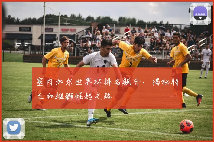 塞内加尔世界杯排名飙升，揭秘特兰加雄狮崛起之路