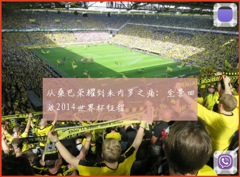 从桑巴荣耀到米内罗之痛：全景回放2014世界杯征程
