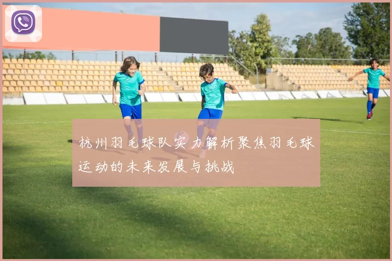 杭州羽毛球队实力解析聚焦羽毛球运动的未来发展与挑战