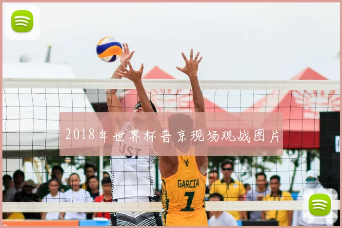 2018年世界杯普京现场观战图片