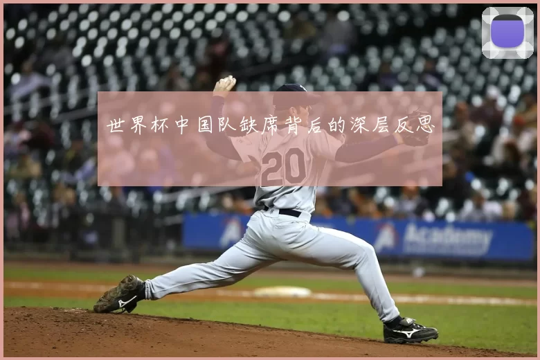 世界杯中国队缺席背后的深层反思