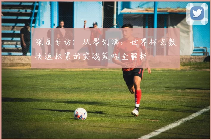 深度专访:从零到满,世界杯点数快速积累的实战策略全解析