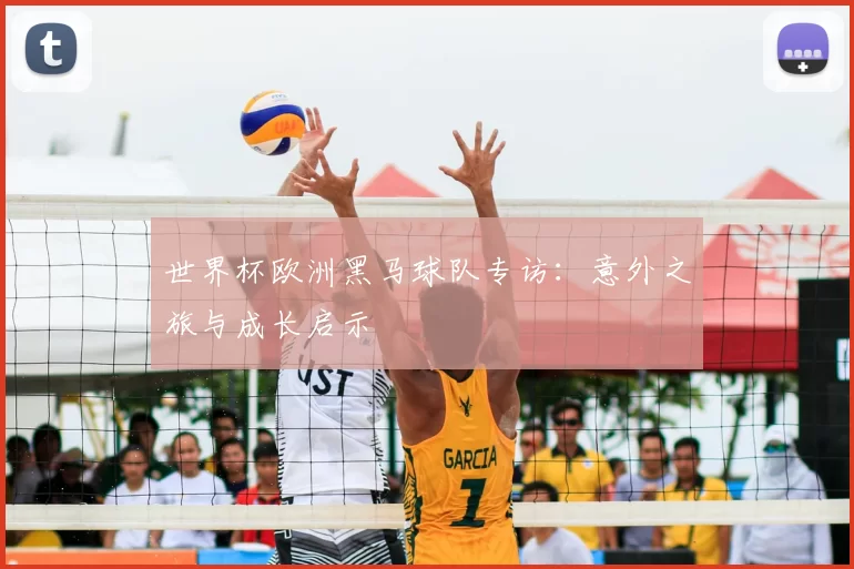 世界杯欧洲黑马球队专访：意外之旅与成长启示
