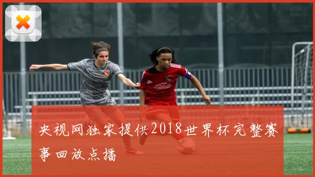央视网独家提供2018世界杯完整赛事回放点播