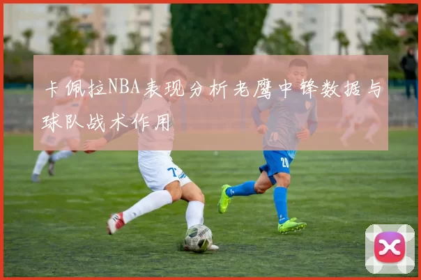 卡佩拉NBA表现分析老鹰中锋数据与球队战术作用