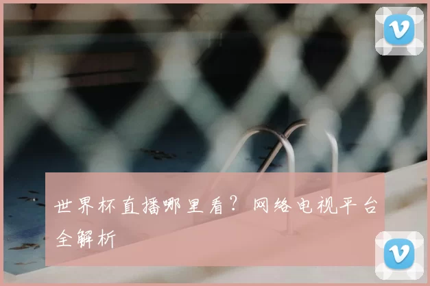 世界杯直播哪里看？网络电视平台全解析