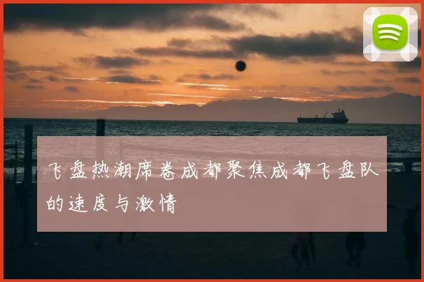 飞盘热潮席卷成都聚焦成都飞盘队的速度与激情