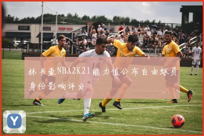 林书豪NBA2K21能力值公布自由球员身份影响评分