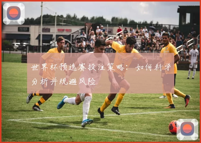 世界杯预选赛投注策略：如何科学分析并规避风险
