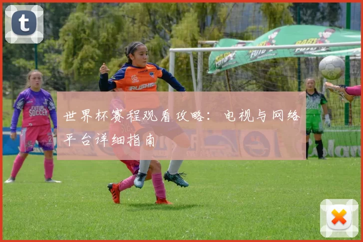 世界杯赛程观看攻略：电视与网络平台详细指南