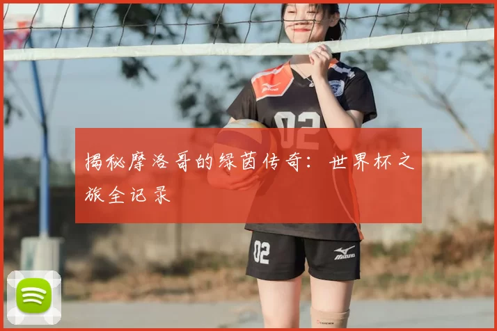 揭秘摩洛哥的绿茵传奇：世界杯之旅全记录