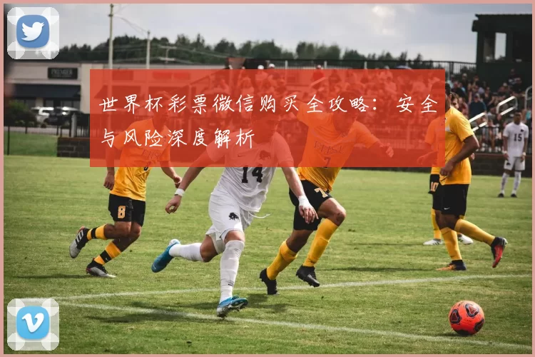 世界杯彩票微信购买全攻略：安全与风险深度解析