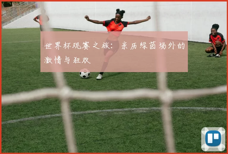 世界杯观赛之旅：亲历绿茵场外的激情与狂欢