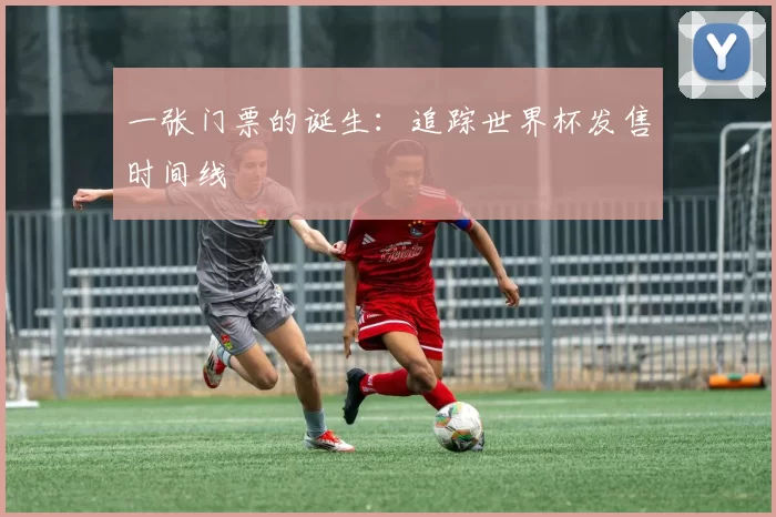 一张门票的诞生：追踪世界杯发售时间线